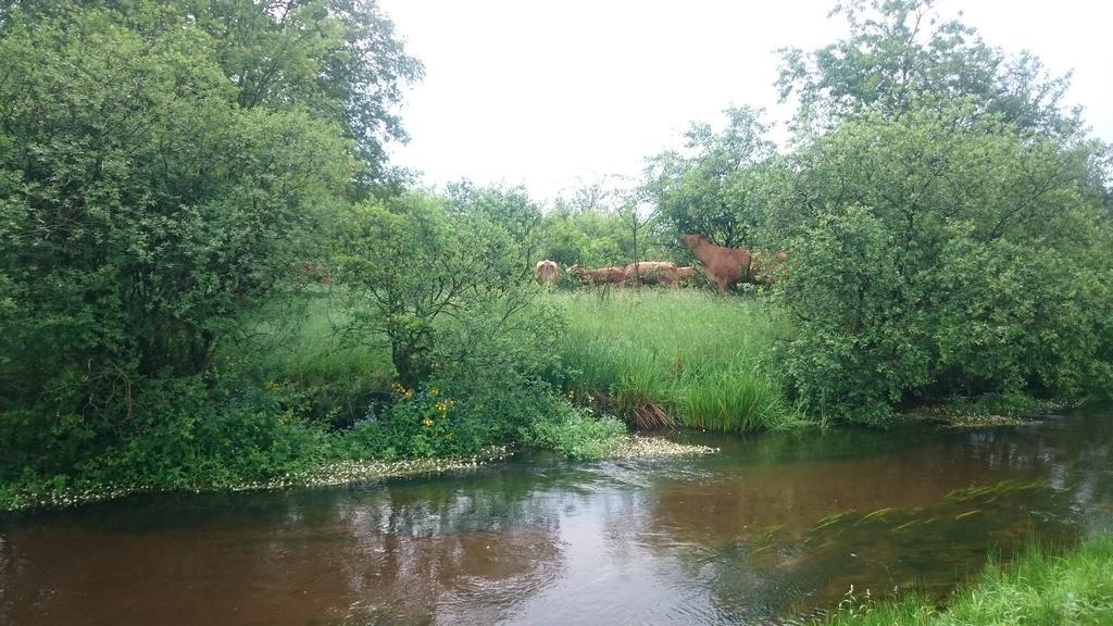 Appartamento Aagaarden Billund Esterno foto